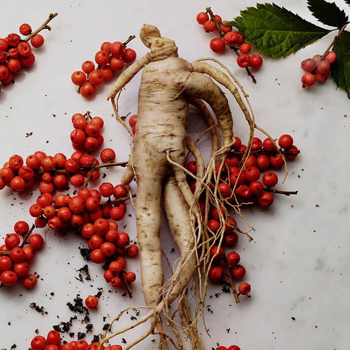 ESSENTIAL ENERGY Other