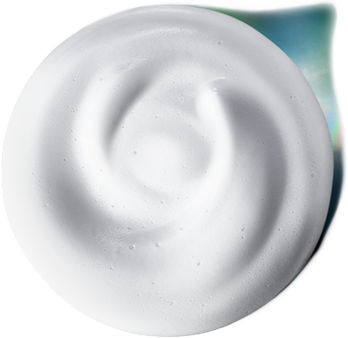 FUTURE SOLUTION LX BENEFIT